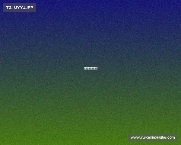 搏击裁判收入怎么样